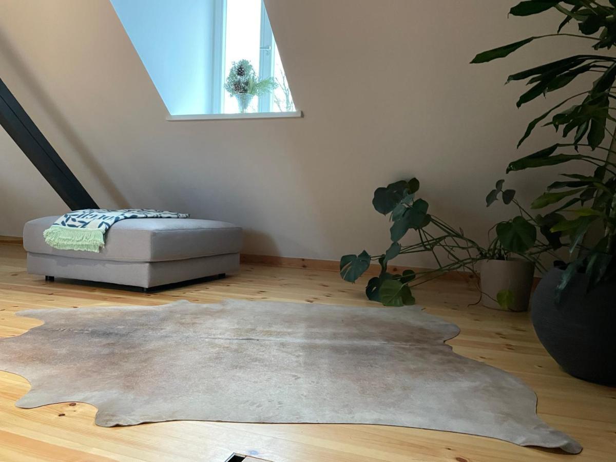 Voh Super Exklusives Loft, Zentral, Smart-Tv, Parkplatz Appartement Vohenstrauss Buitenkant foto