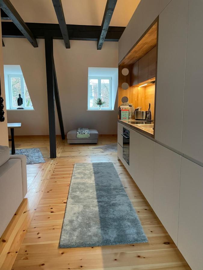 Voh Super Exklusives Loft, Zentral, Smart-Tv, Parkplatz Appartement Vohenstrauss Buitenkant foto